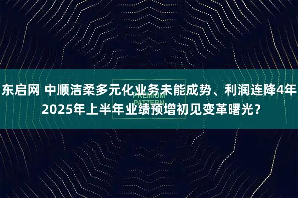 东启网 中顺洁柔多元化业务未能成势、利润连降4年 2025年上半年业绩预增初见变革曙光?