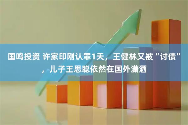 国鸣投资 许家印刚认罪1天，王健林又被“讨债”，儿子王思聪依然在国外潇洒